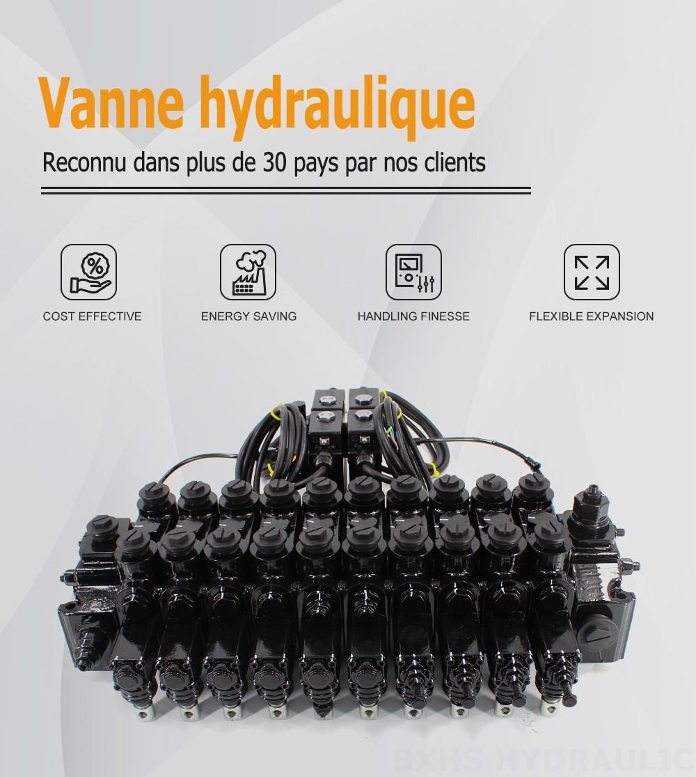 DCV150-10-NPT Manuelle et électro-hydraulique 10 distributeurs Distributeur directionnel sectionnel